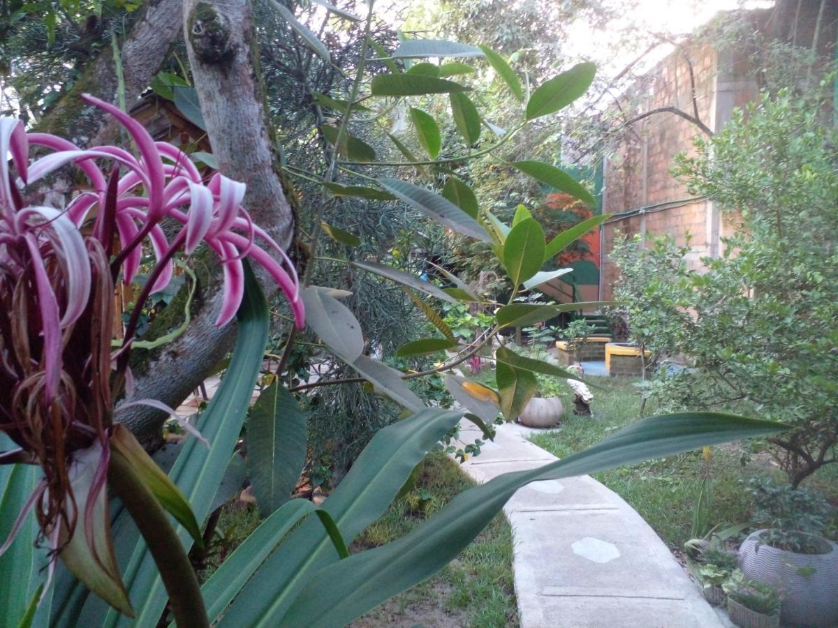 montecarlos hotel Ibagué Exterior foto
